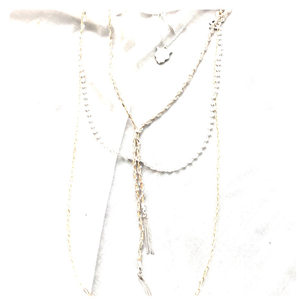 Free People Silver/Gold Tasseled Layered Necklace - Picture 4 of 8